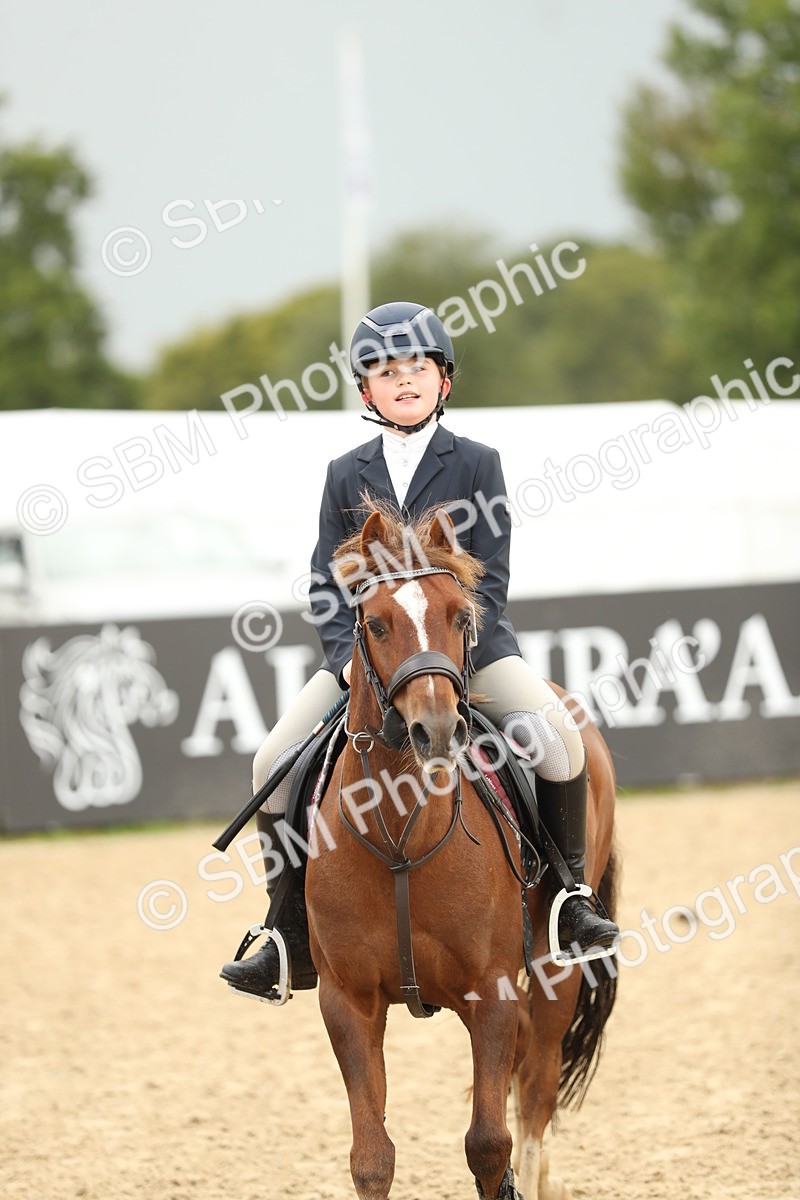 SBM_34232 - J60 Clear Round 50cm