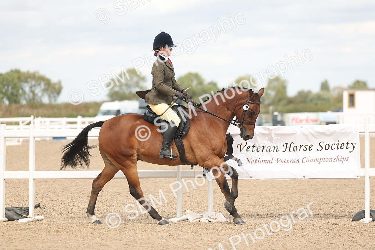 SBM_15984 - Class 311 - Ridden Show pony-Show hunter Pony