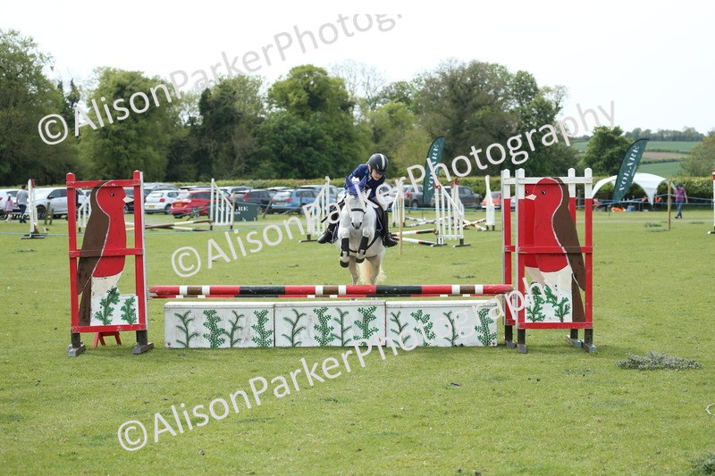 20260426-2115 - Class 15 - Absolute Novice 70cm