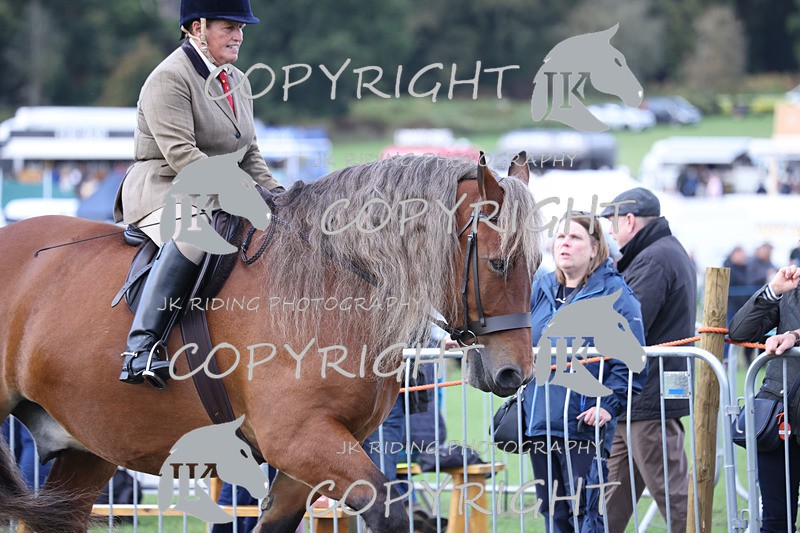 APP_3650 - Class 8 Ridden Class