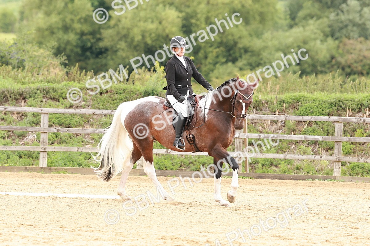 SBM_002750 - Novice 2