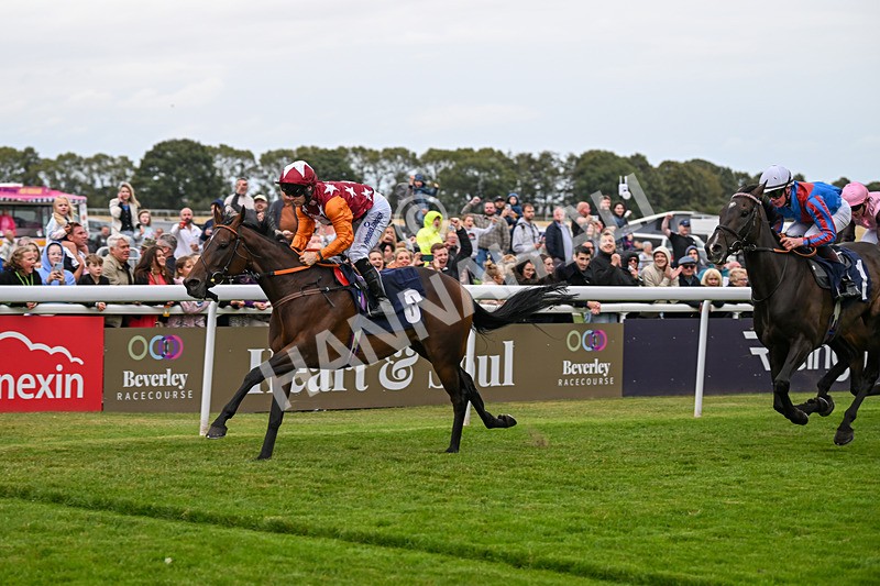 250824-Race 5-Lincoln Rockstar-3685 - Race 5