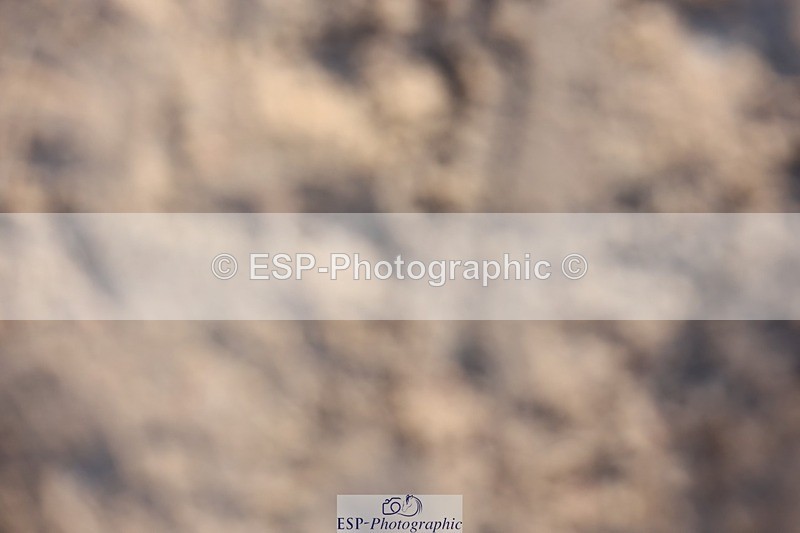 241201X-114112-00923 - Classes 06-09 Jnr 110-115-120-125