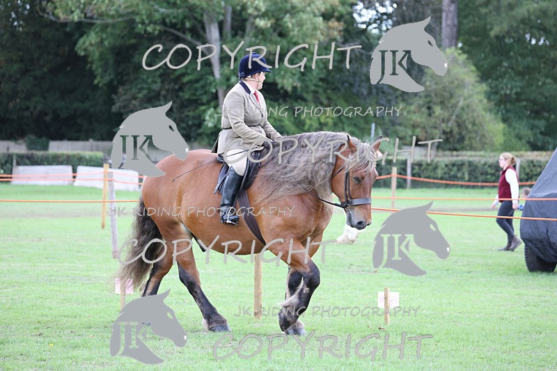 APP_3616 - Class 8 Ridden Class