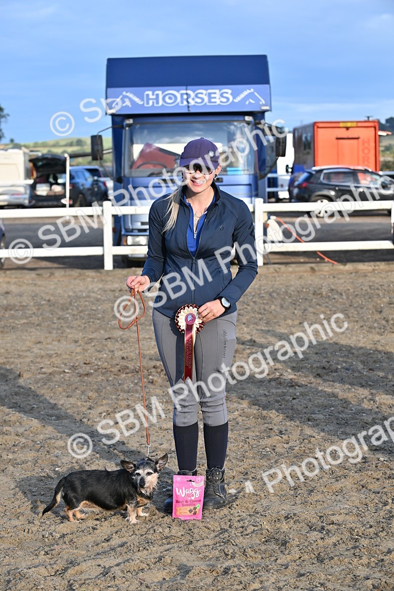 SBM_09501 - Lorry Dogs
