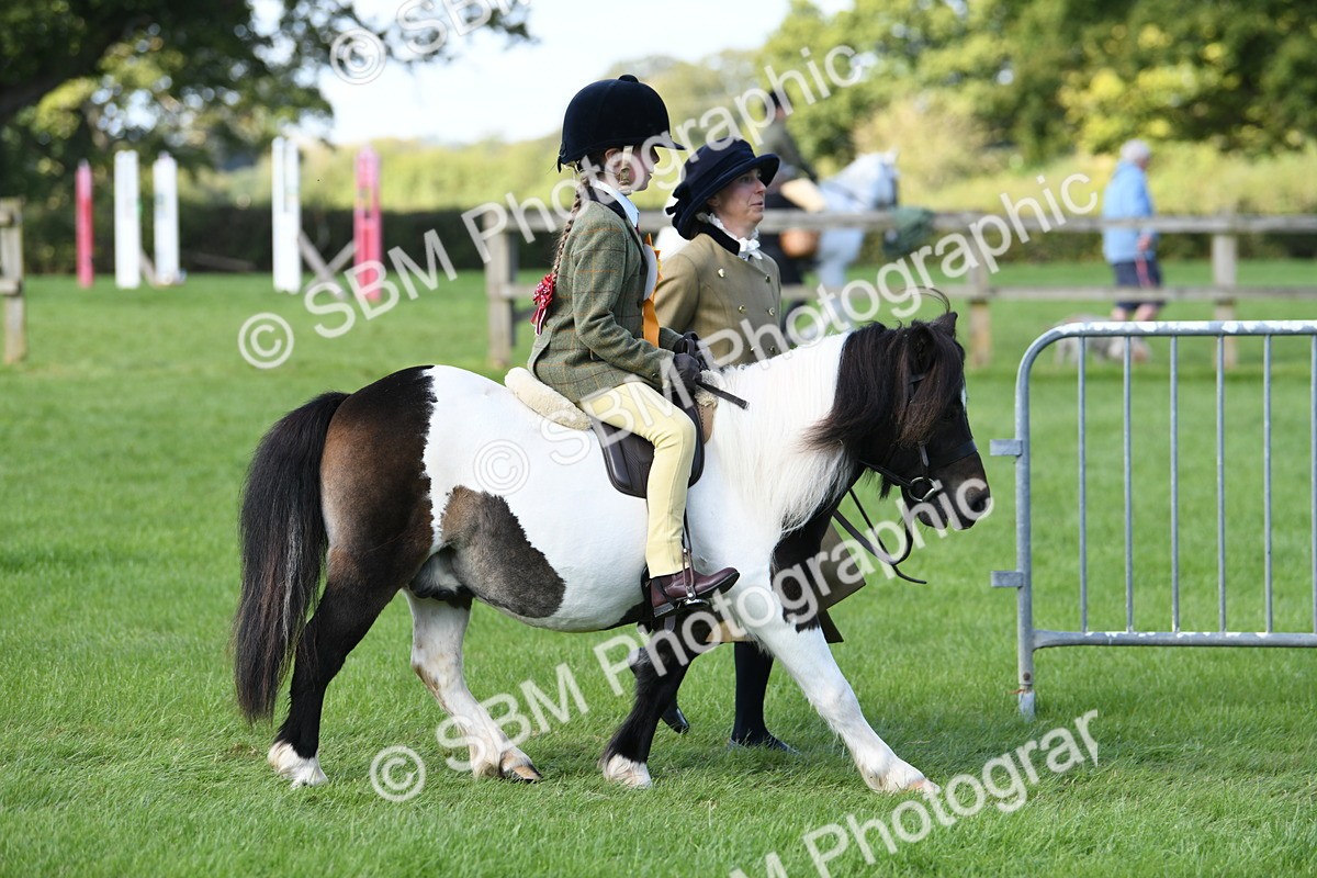 SBM_39723 - S18 - Novice & Newcomers Lead Rein Pony
