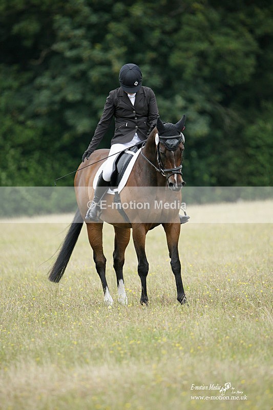 BVRC 030721 226 - Bourne Valley Riding Club Dressage 03/07/21