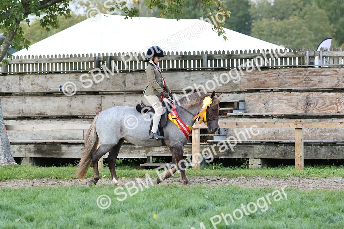 SBM_53404 - Super Supreme Championship (Sat)