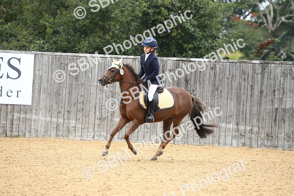 SBM_60198 - J63 - Junior Pony 50cm Championship
