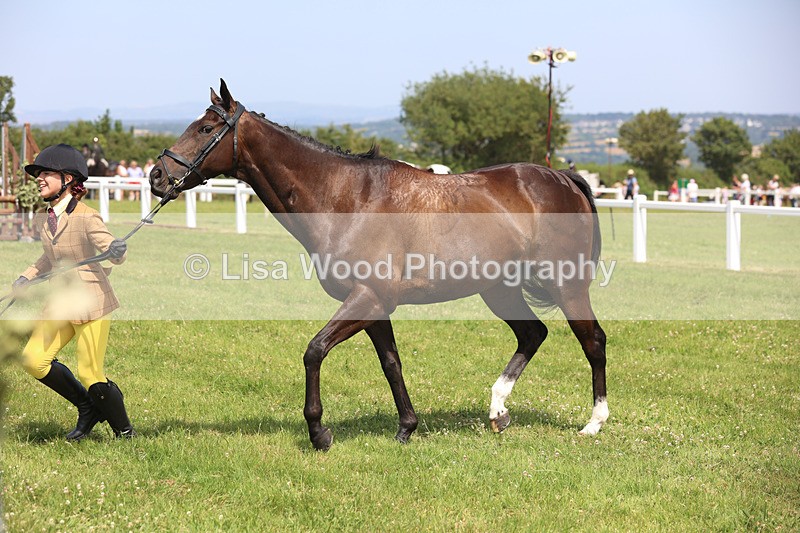 JPP_3437 - Class 22: Working Hunter 70cm