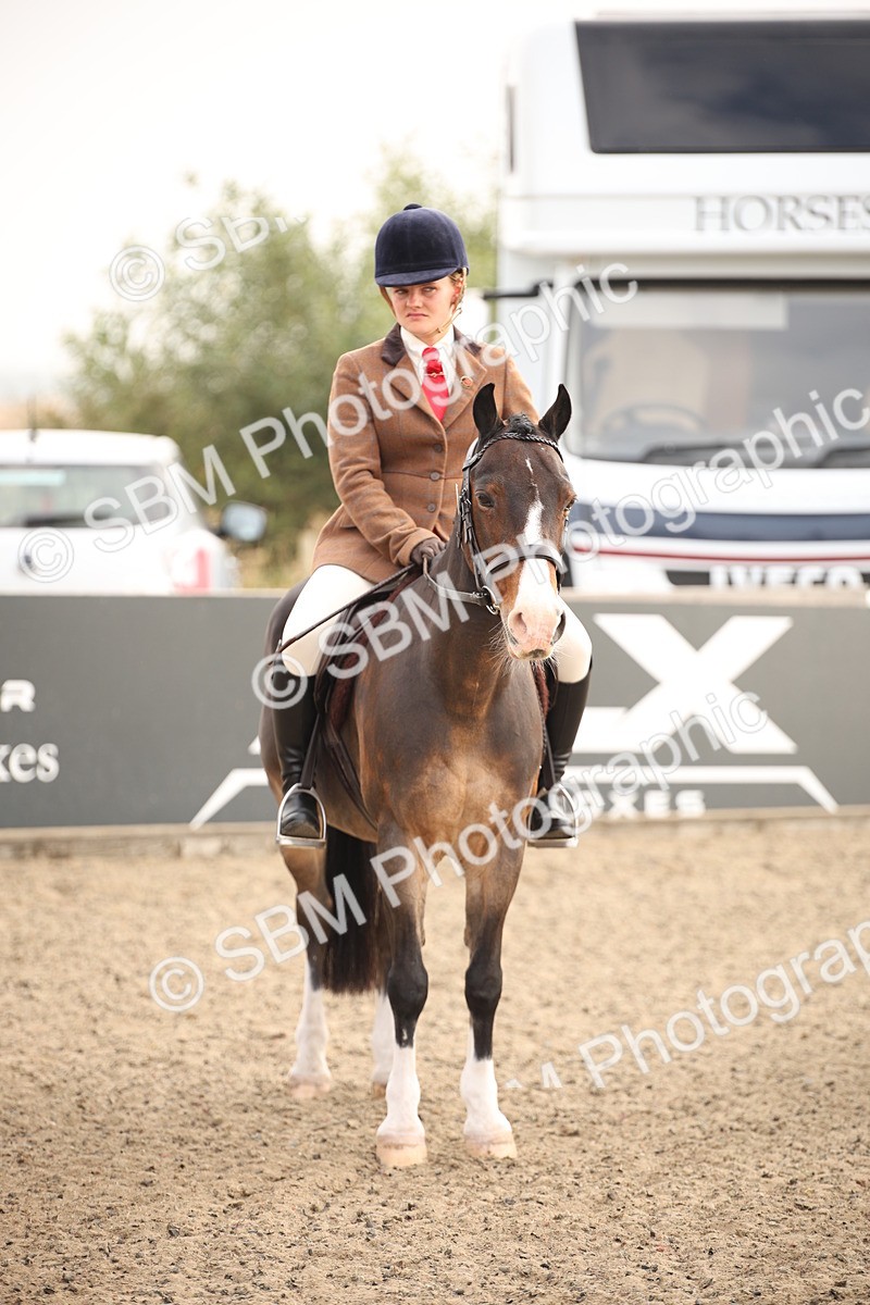 SBM_09822 - Class 401 Riding Club Pony