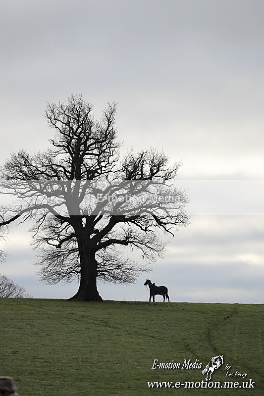 PtP 291224 59 - Harkaway Club PtP Chaddesley Corbett 29/12/24