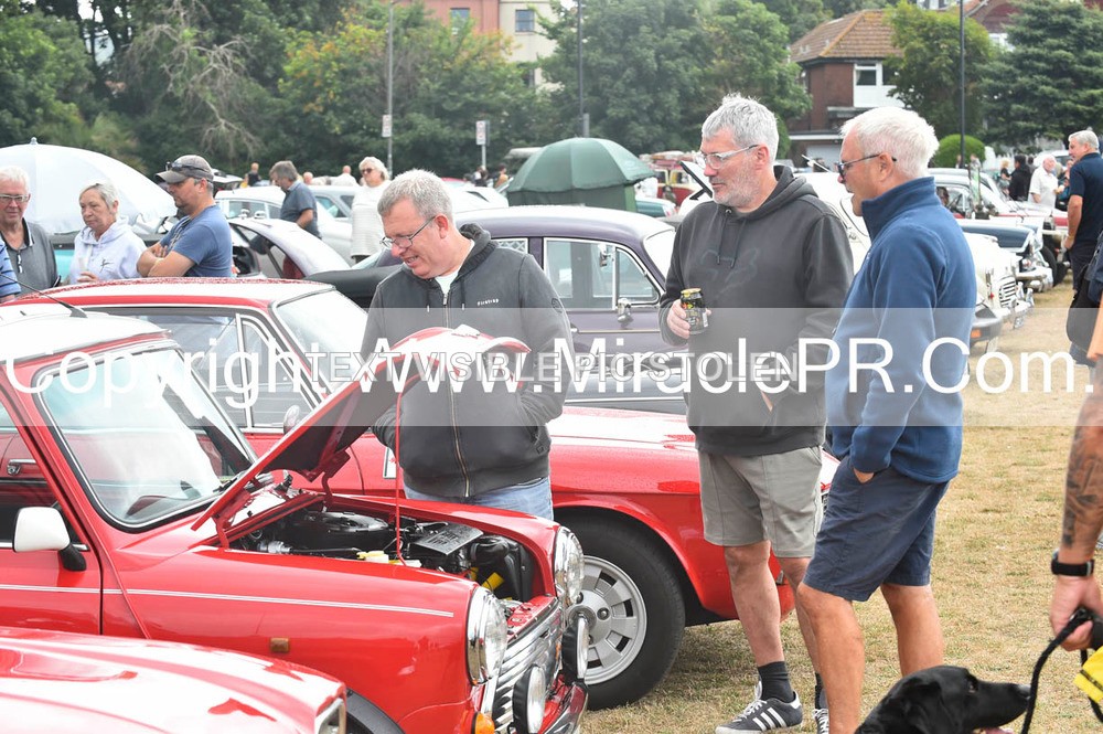 SH4_8820 - Torbay Old Wheels Club
