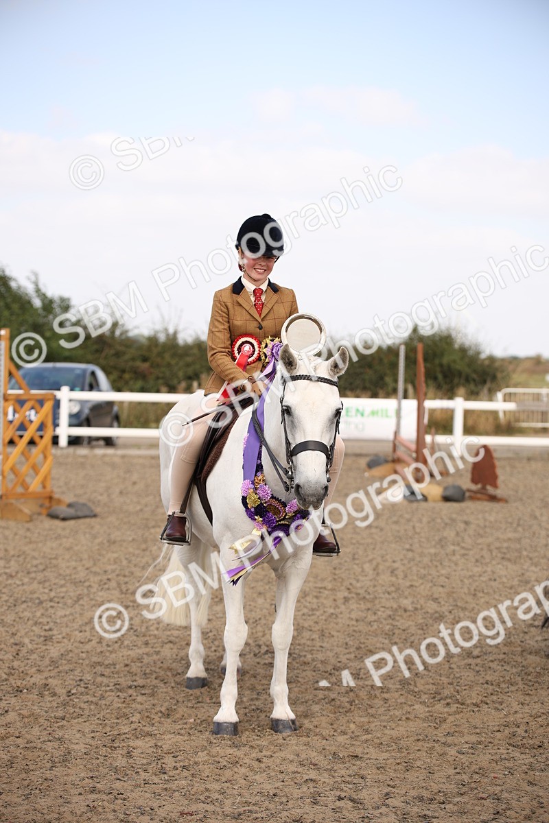 SBM_15074 - Class 408a - Working Veteran 70cm (15-19