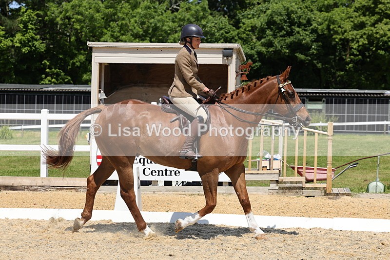 1X9A1823 - Class 12: Ridden Riding Horse/Hack