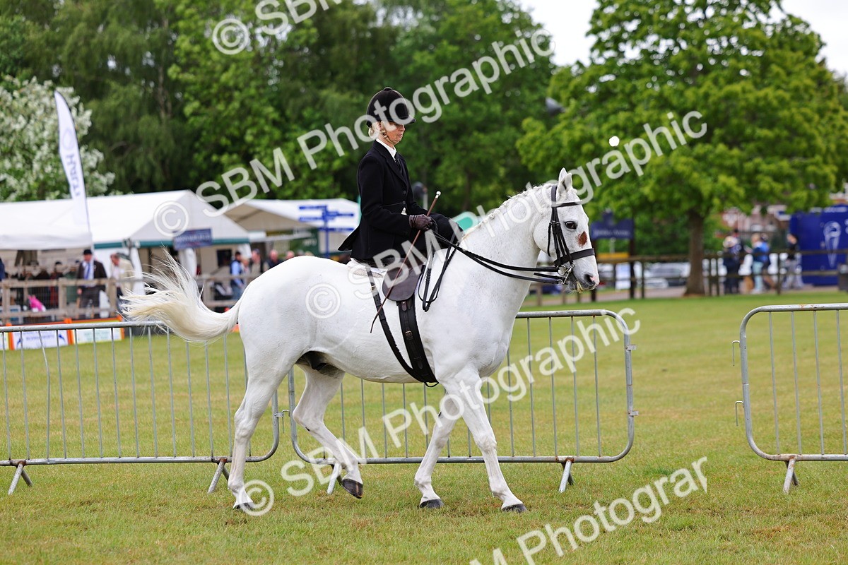 SBM_02716 - Class 9-11 Side Saddle including LIHS Rising Star Ladies Show Horse