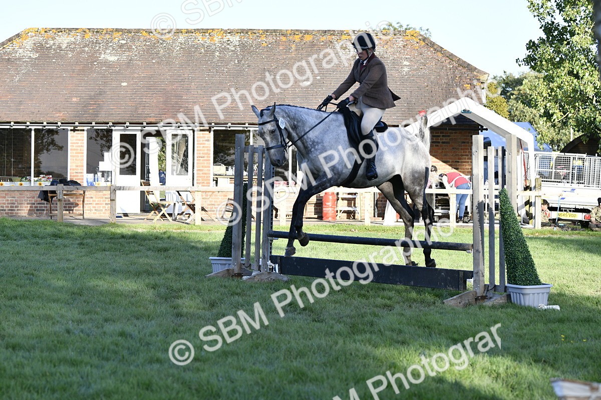 SBM_53547 - S14 - Riding Club Horse