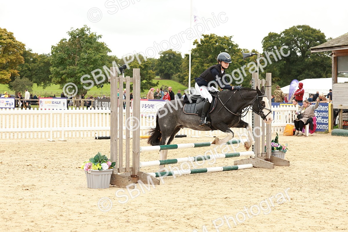 SBM_61906 - J12 - Junior Pony 55cm Championship