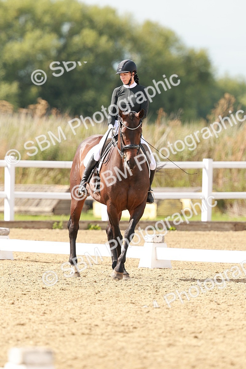 SBM_002460 - Class 11 - Medium 6