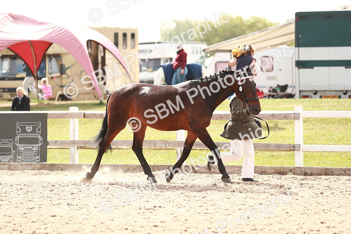 SBM_13216 - Class 208 IH Veteran Horse