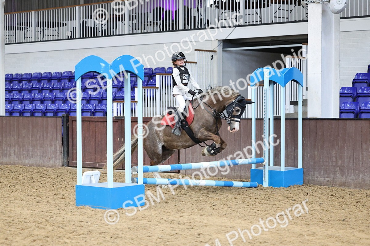 SBM_007337 - Class 2 - 50cm showjumping
