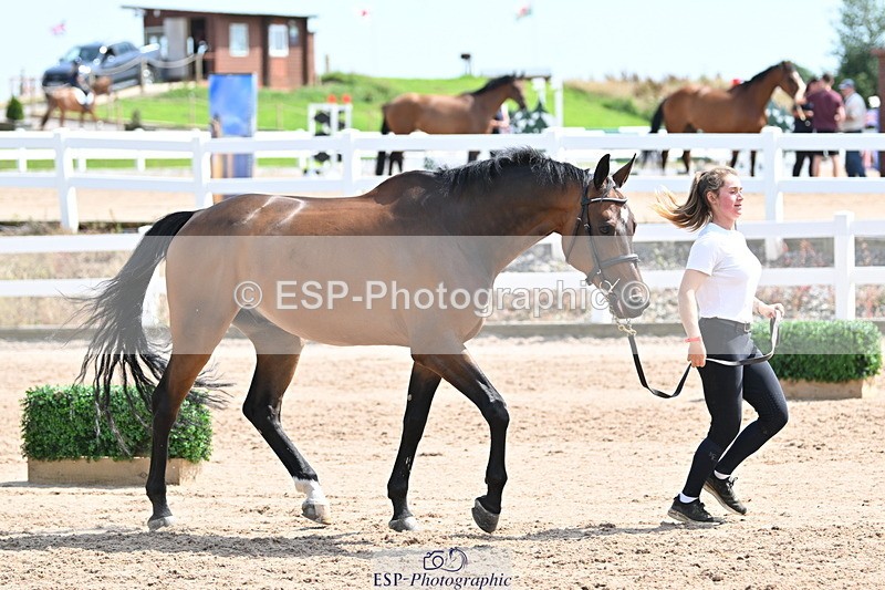 240717A-150057-02445 - Trot Up 3pm to 4pm