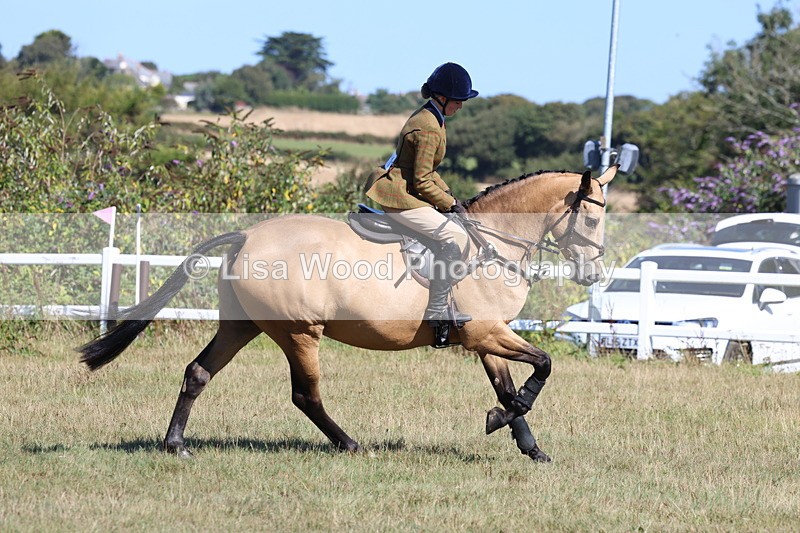 3E7A5794 - Class 5: Working Hunter 90cm