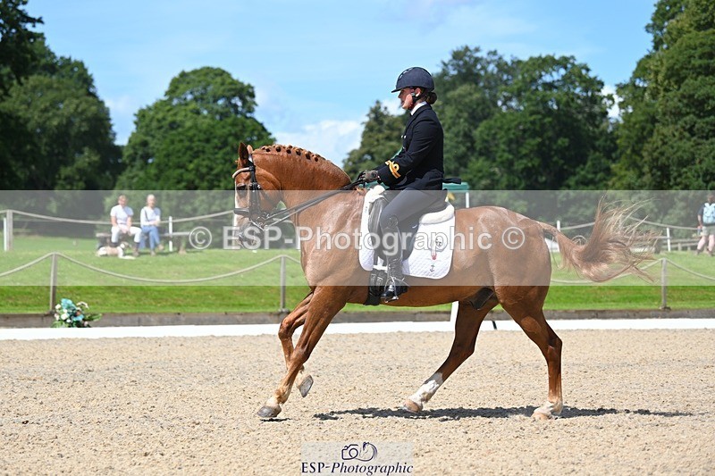 230811-123729-01342 - Cls 4 Adv Medium Silver