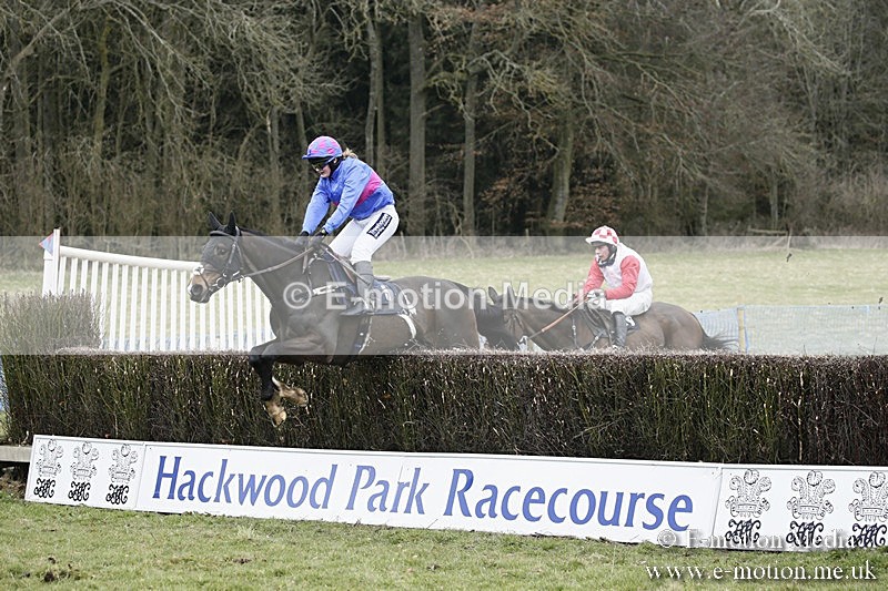 PtP 110318 163 - Hampshire Hunt Point-to-Point Hackwood Park 11/03/18