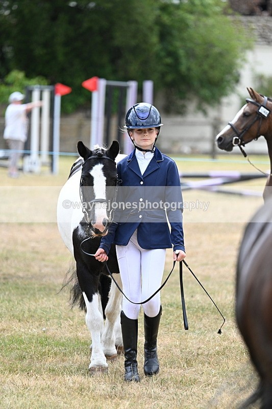 WJ7_1401 - Class 4 Prettiest Mare up to 14.2hh in hand