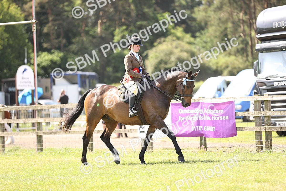 SBM_13090 - Class 75-76 LIHS BSHA Rising Star Hack Riding Horse