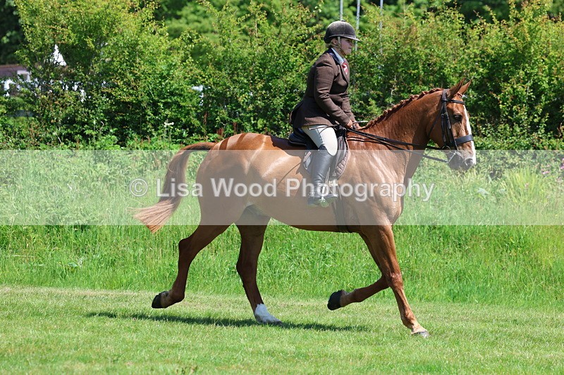 3E7A8247 - Class 13: Ridden Hunter
