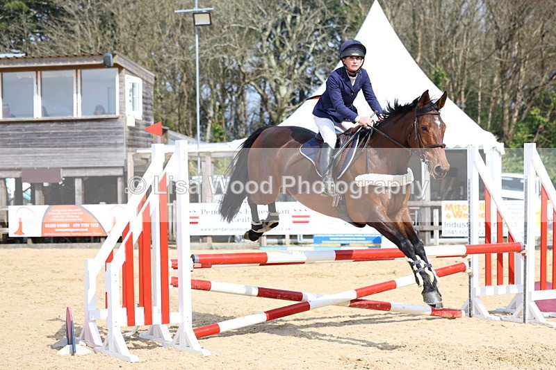 3E7A6729 - Class 4: Senior British Novice/90cm open