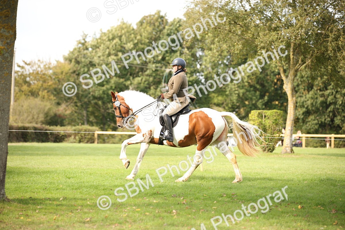 SBM_70400 - S66 - Hunter Ridden