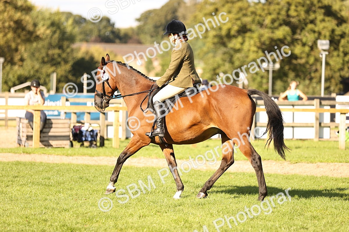 SBM_26456 - S6 - Novice & Newcomers Ridden Horse