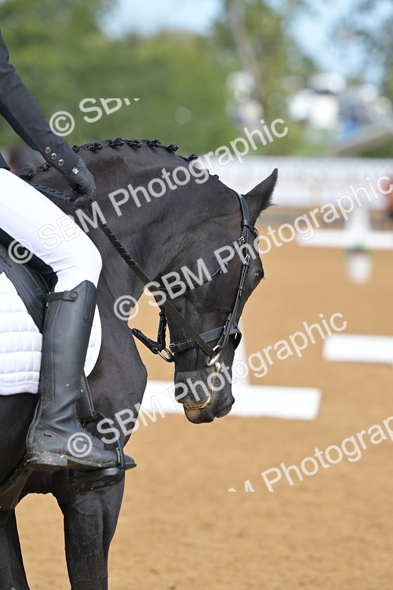 SBM_03783 - D2 - Small Tour Championship Intro 2