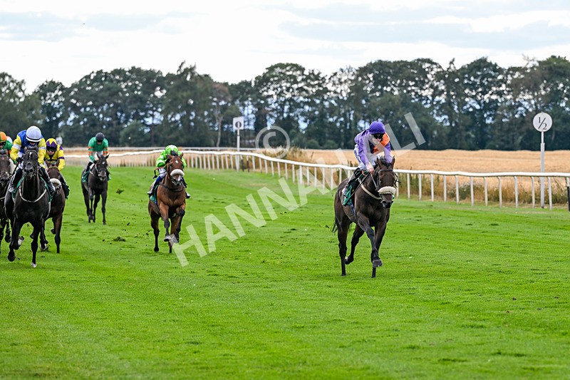 070826-Race 6-Great Profit-2154 - Race 6 16.40pm Country Music Night Here Next Friday 14th August Handicap