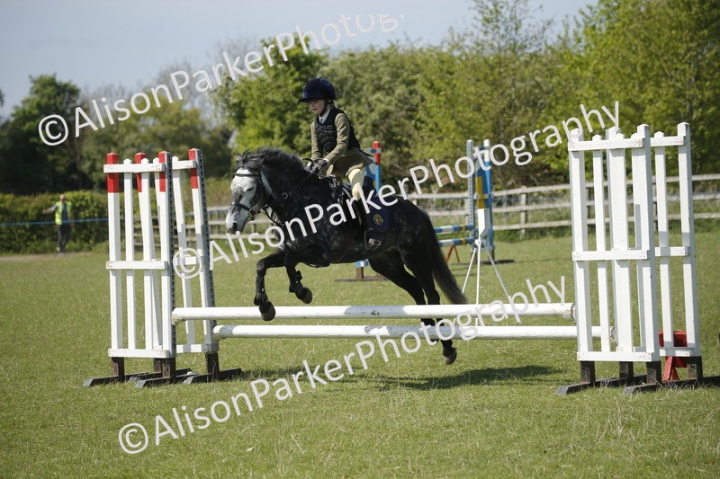 20250427-2313 - Class 13 - Novice Jumping 60cm