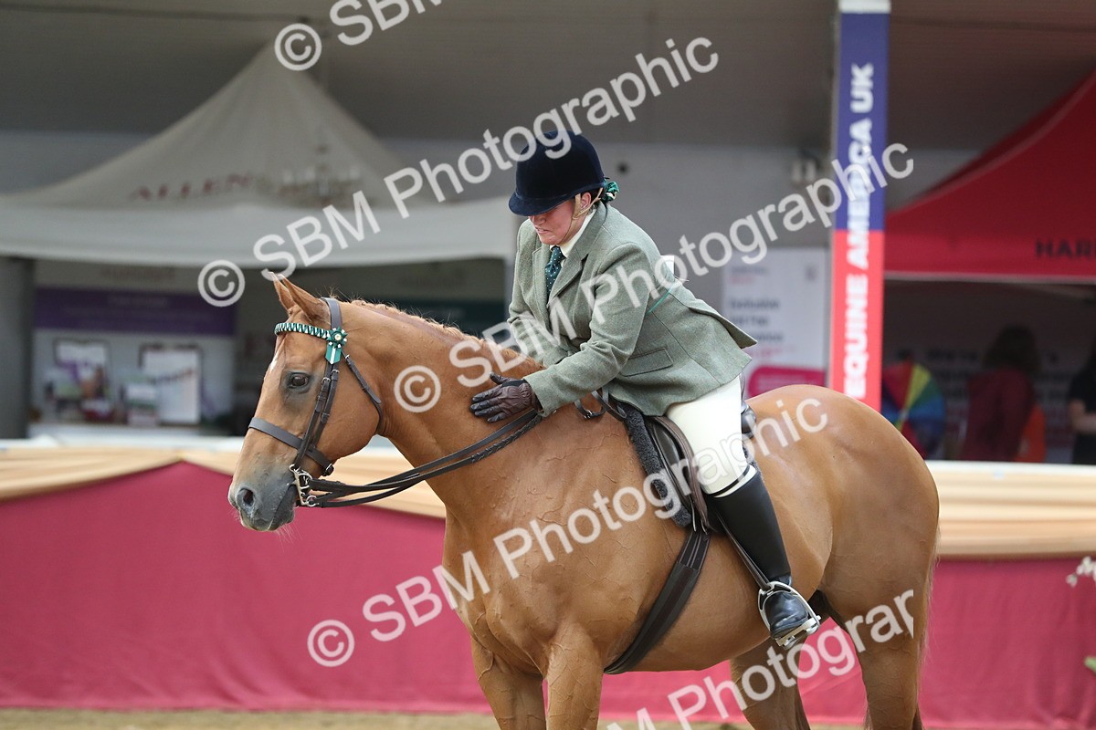 SBM_12375 - Class 108 Ridden Retired Racehorse- Pre Judging