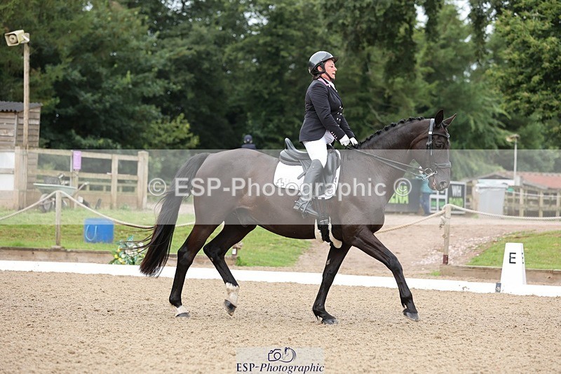 240721-091625-06945 - 259-Suzie_Wilson-Dantzig