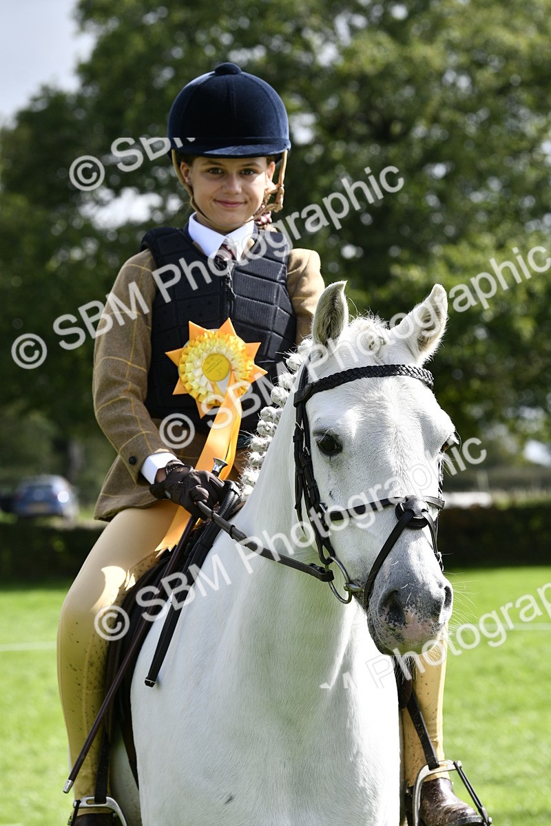 SBM_41652 - S32 - Mountain & Moorland Working Hunter Pony