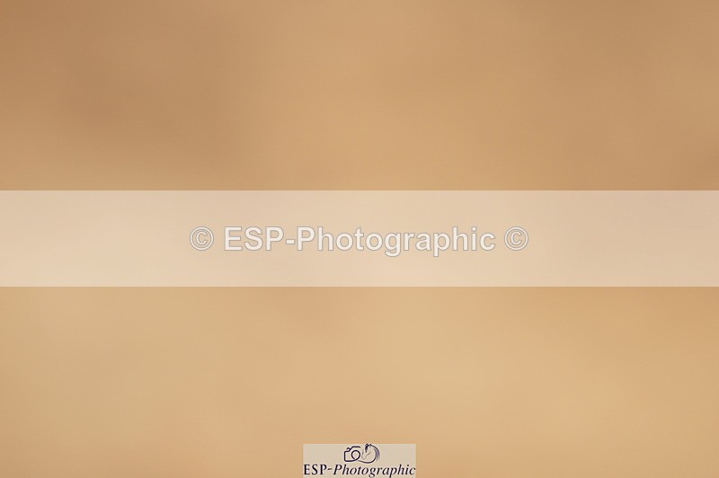 240317A-115248-05758 - Cls 26 National 1.30m Open