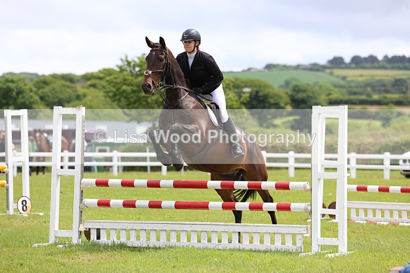 3E7A7230 - Class 13: Senior British Novice/90cm open