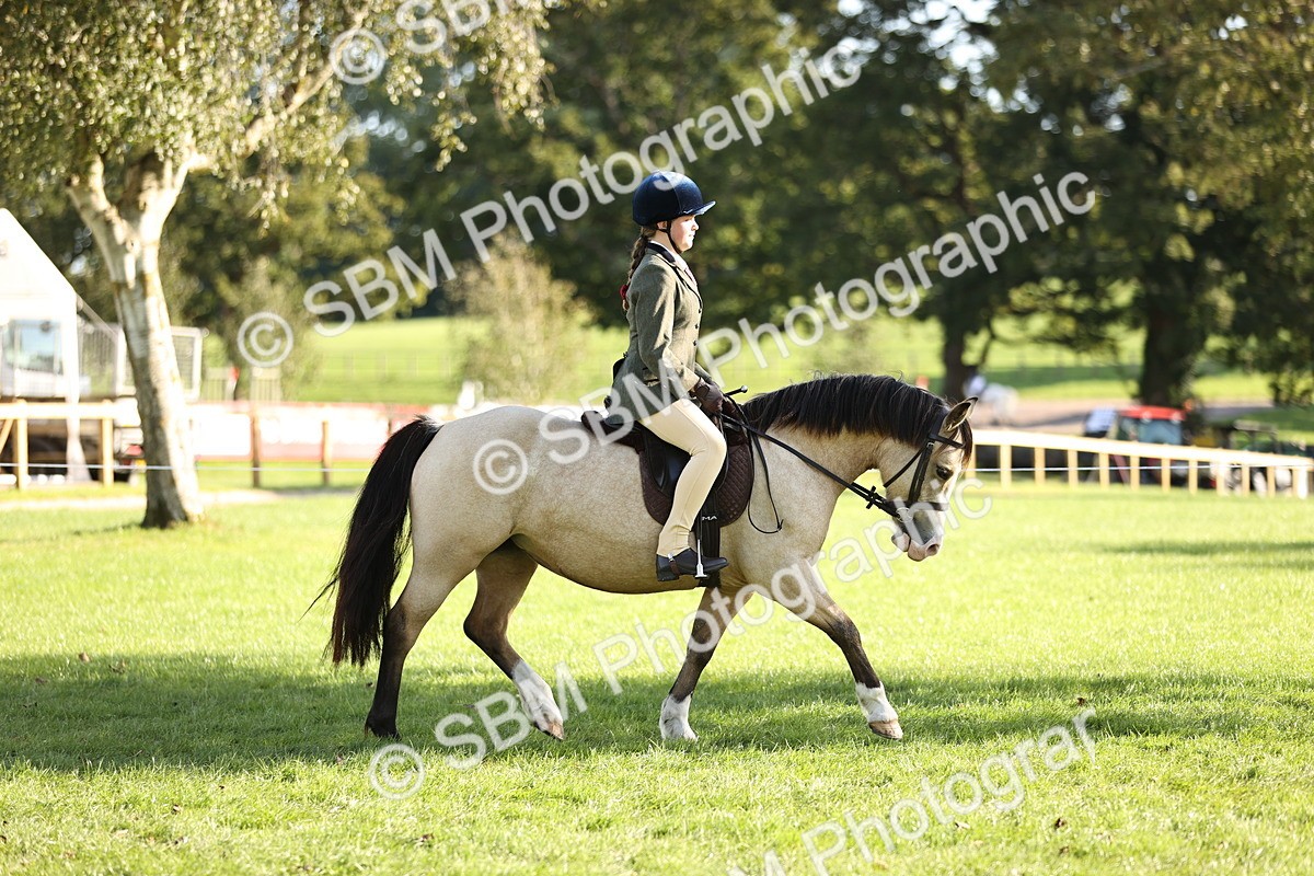 SBM_29313 - S7 - Novice & Newcomers Ridden Pony