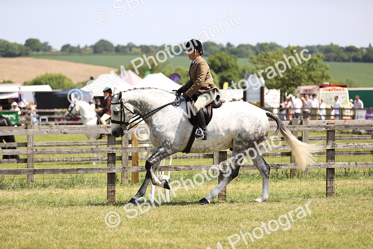 SBM_15089 - Class 79-80 - LIHS BSHA Rising Star Ridden Hunter