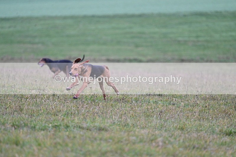 WJ7_0437 - Camera 1