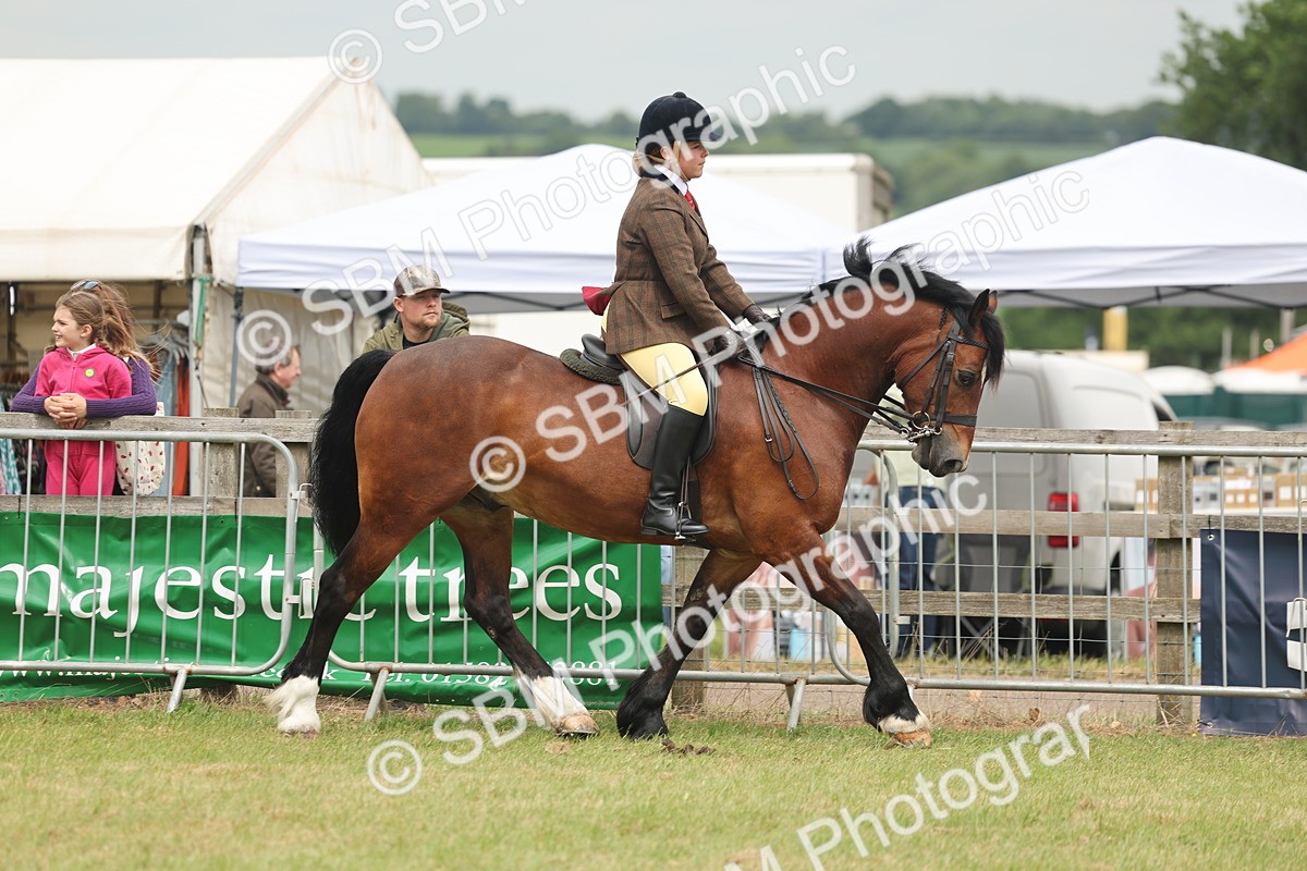 SBM_07168 - Class 76-77 - Ridden M&M Welsh Ponies