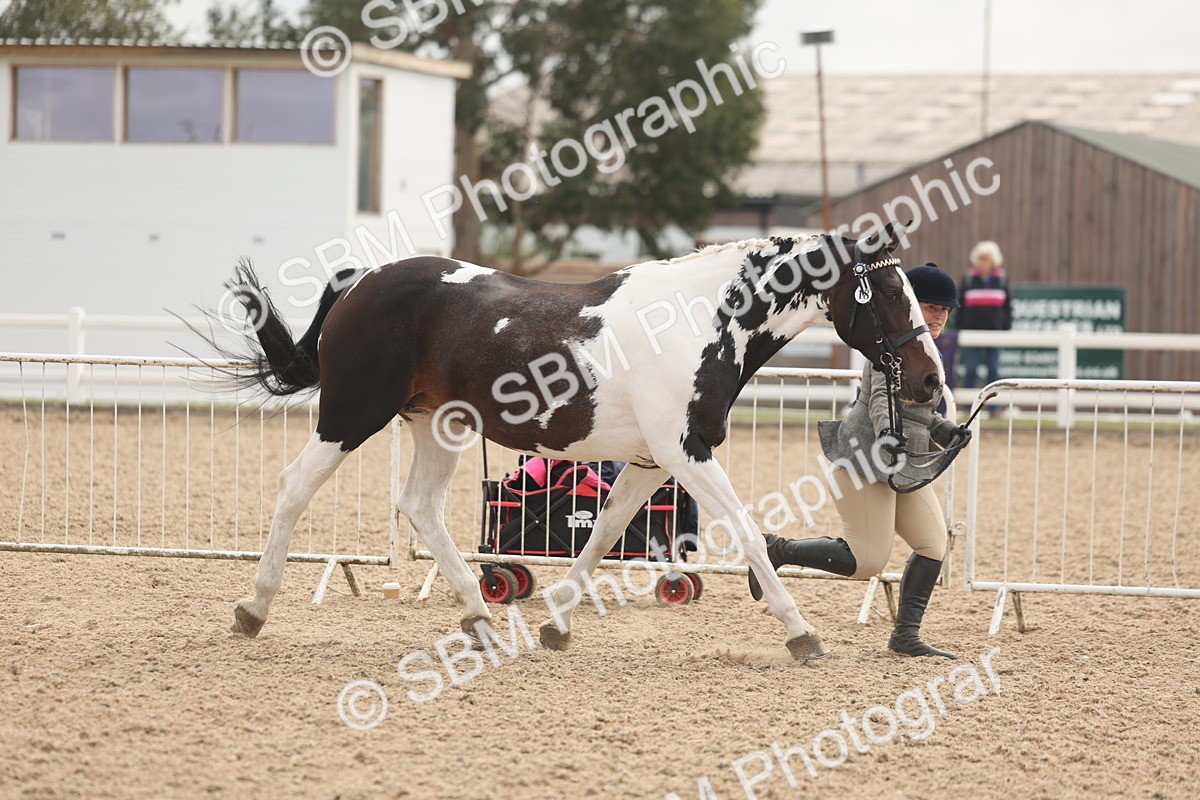 SBM_02058 - Class 15 - IH Coloured