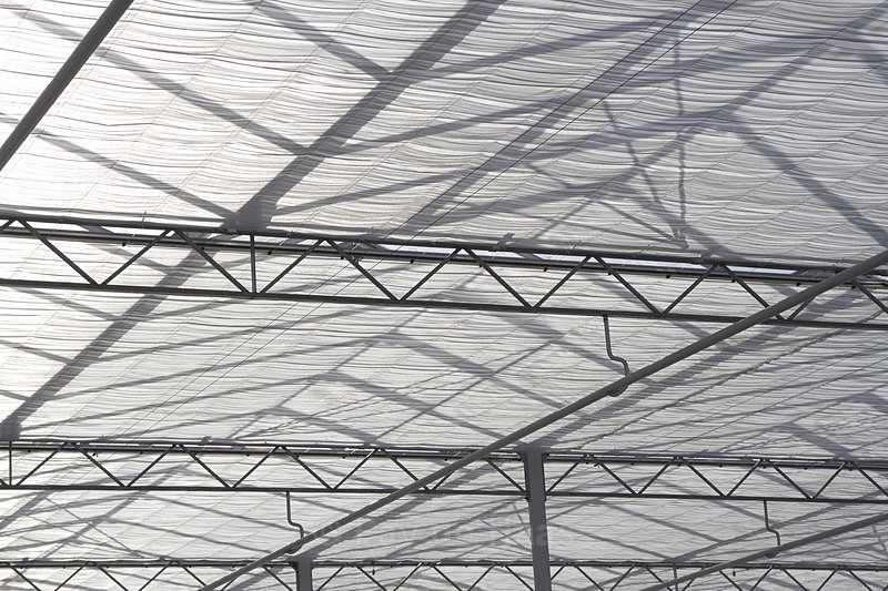 IMG_4580 1 - Manmade lines