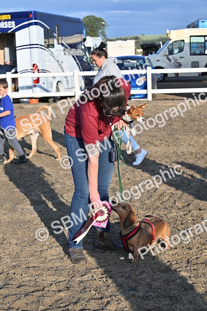 SBM_09412 - Lorry Dogs